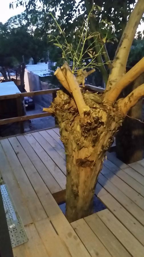 Mi Pesadilla Salinas Home 外观 照片